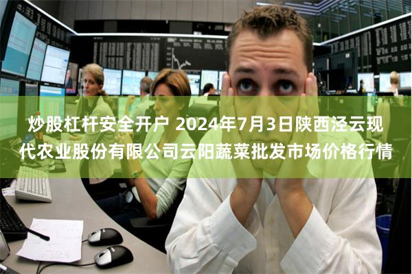 炒股杠杆安全开户 2024年7月3日陕西泾云现代农业股份有限公司云阳蔬菜批发市场价格行情