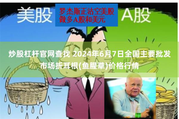 炒股杠杆官网查找 2024年6月7日全国主要批发市场折耳根(鱼腥草)价格行情