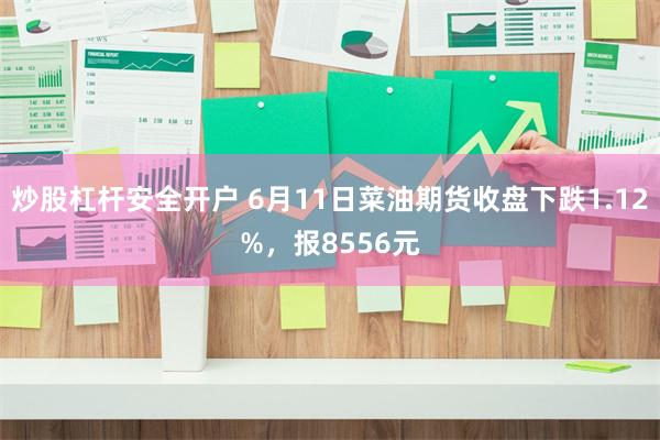 炒股杠杆安全开户 6月11日菜油期货收盘下跌1.12%，报8556元