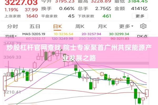 炒股杠杆官网查找 院士专家聚首广州共探能源产业发展之路