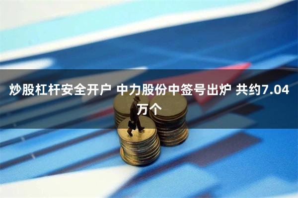 炒股杠杆安全开户 中力股份中签号出炉 共约7.04万个